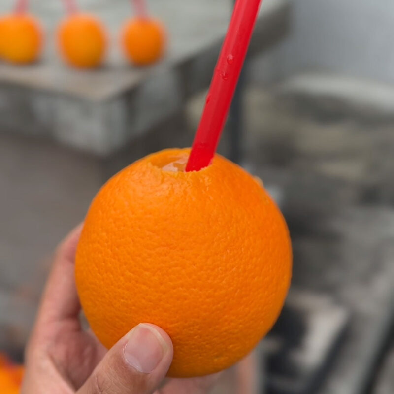 GABU GABU 生搾りジュース