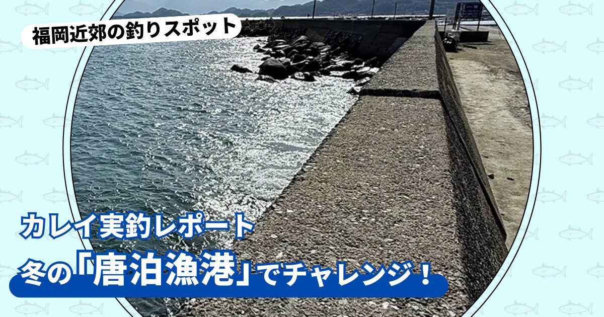 釣りスポット：「唐泊漁港」実釣レポート