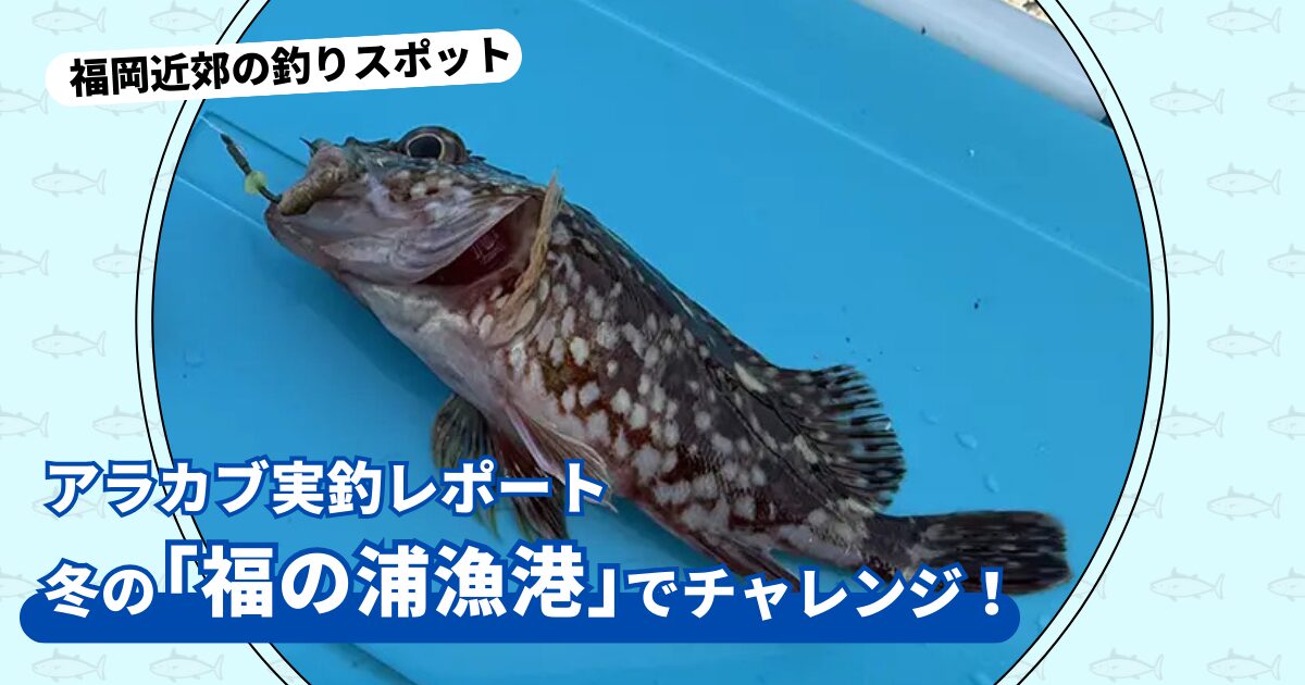 釣りスポット：「福の浦漁港」実釣レポート