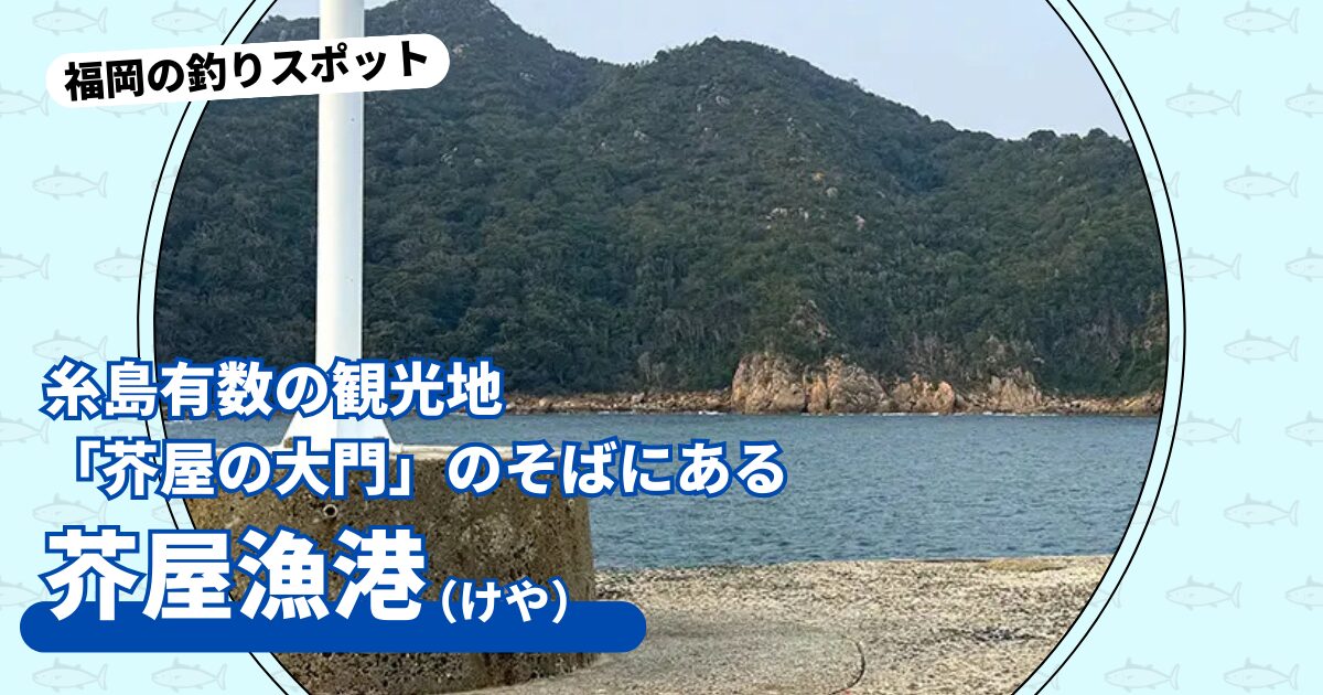 釣りスポット：芥屋漁港