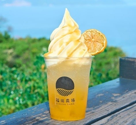 熊本「福田農場」九州果実のクリームソーダ3種