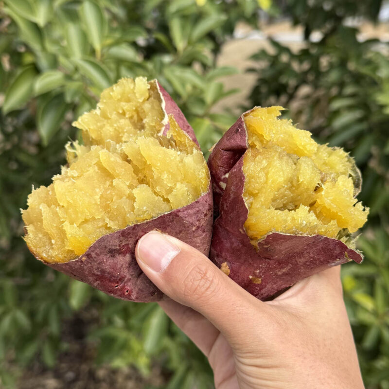 壺焼き芋 N.sweet(エヌスウィート)