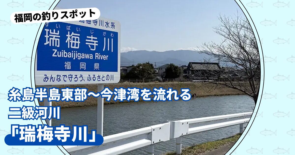 釣りスポット：「瑞梅寺川」