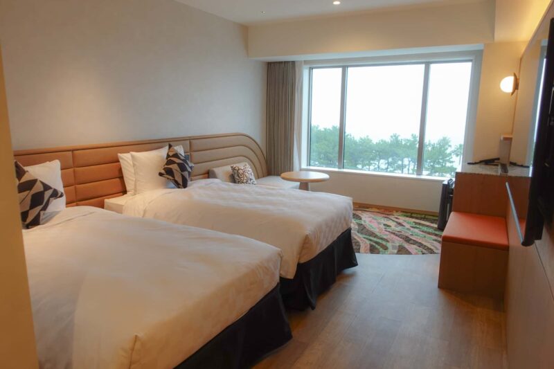 デラックスツイン(5F)の様子2