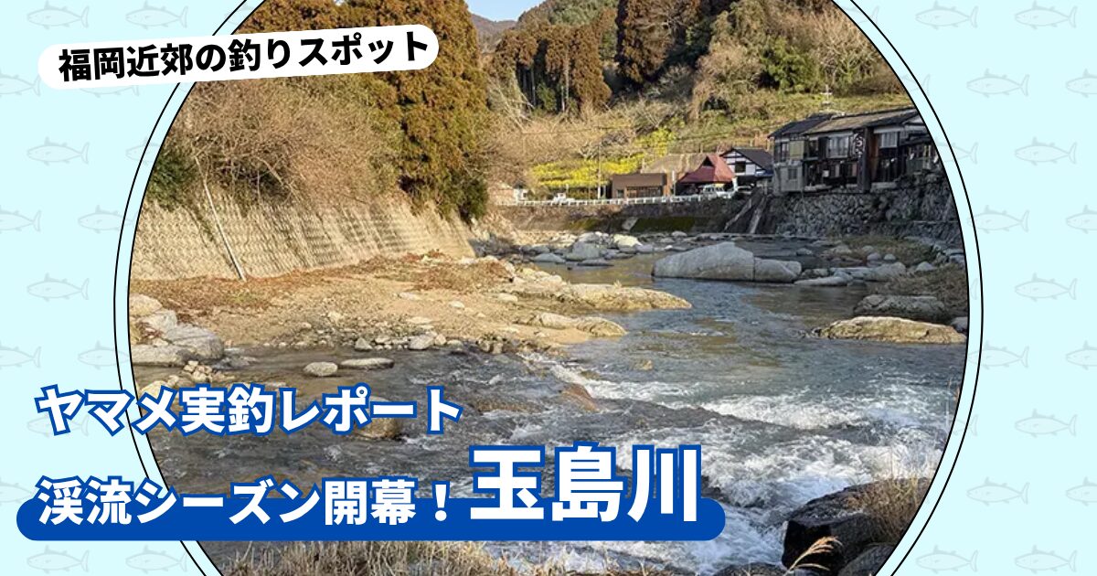 釣りスポット：「玉島川」実釣レポート