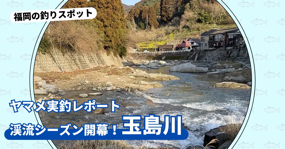 釣りスポット：「玉島川」実釣レポート