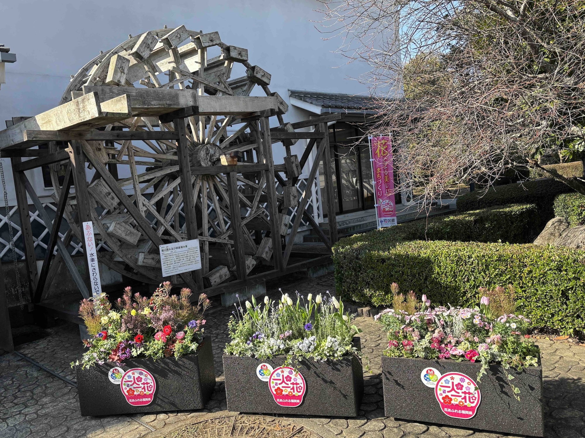 朝倉市フラワーポット