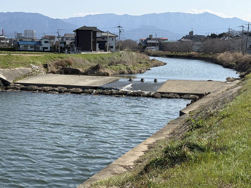 瑞梅寺川中流域の淡水エリア
