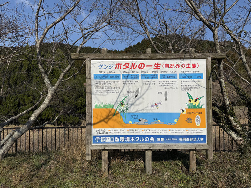 ホタル観賞駐車場の看板