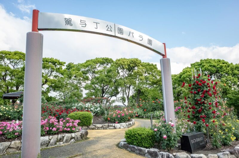 第22回 粕屋町バラまつり