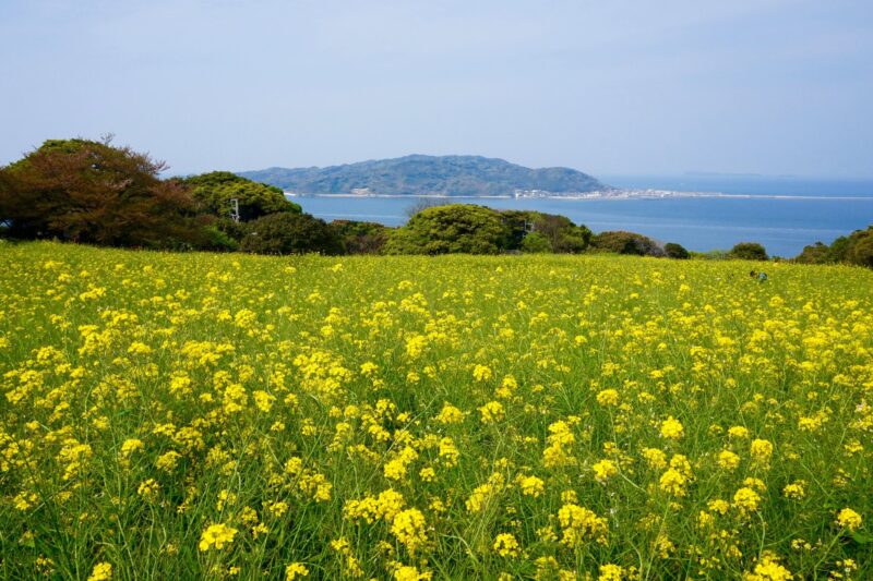 福岡市の離島・能古島 日帰り旅