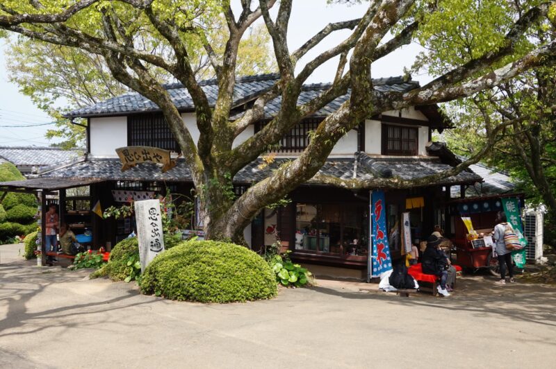 福岡市の離島・能古島 日帰り旅