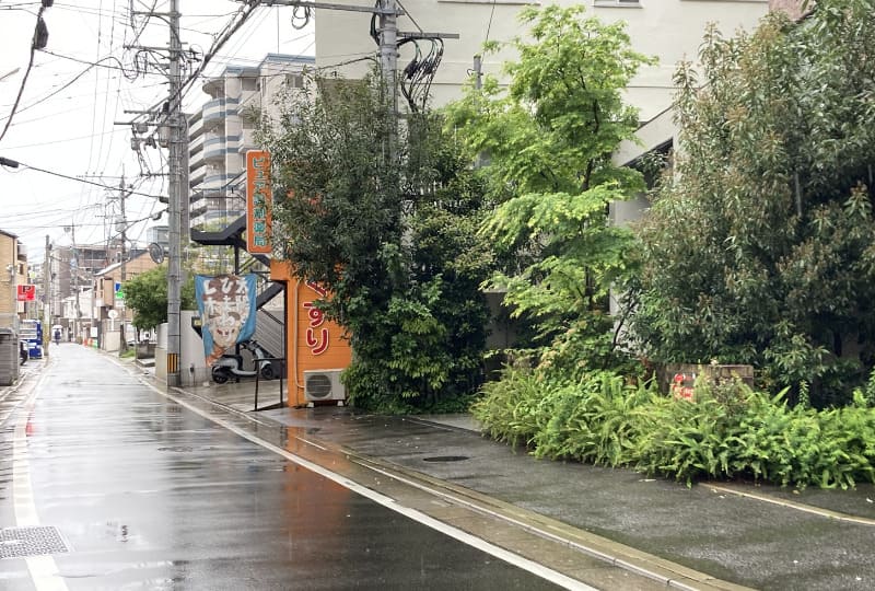 太陽とひまわりとレオン_道中4
