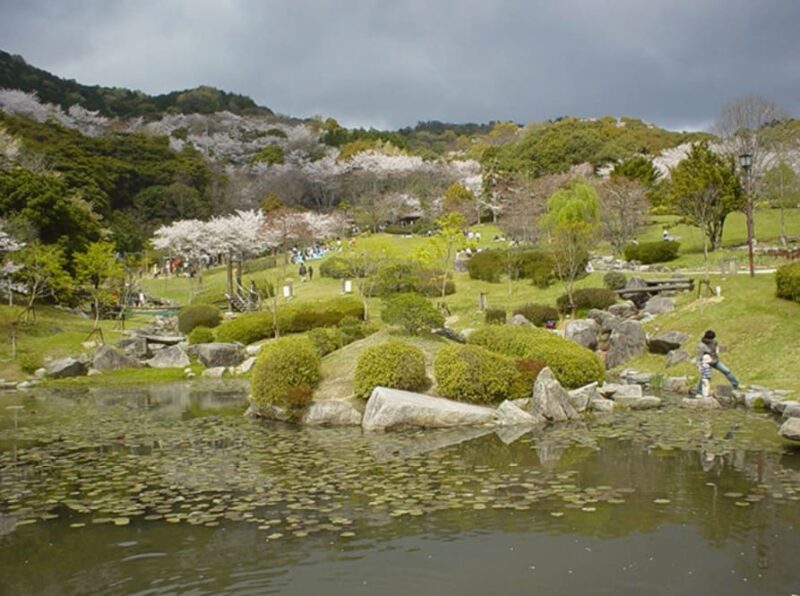 金立ハイウェイオアシス（金立公園）