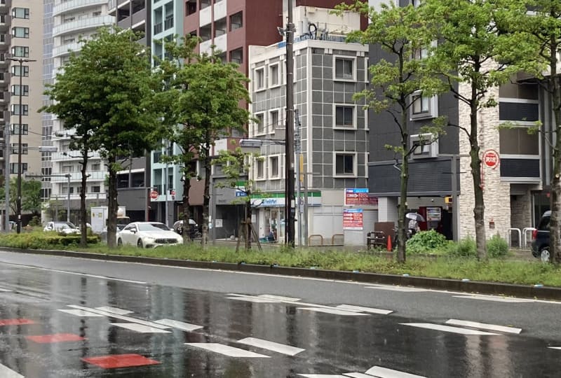 太陽とひまわりとレオン_道中1