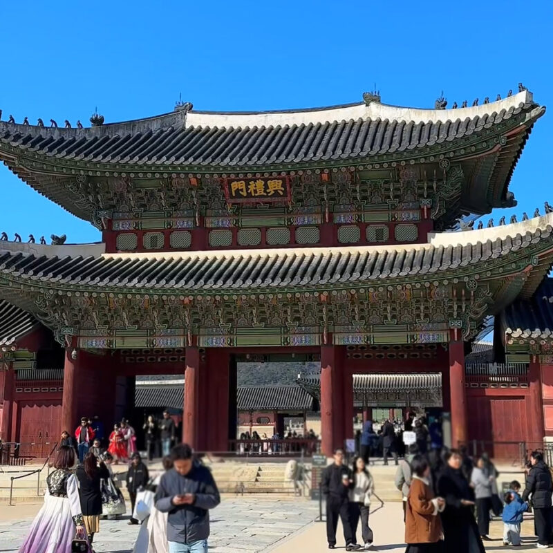 福岡から行く！弾丸日帰りもできる韓国の人気グルメ5選