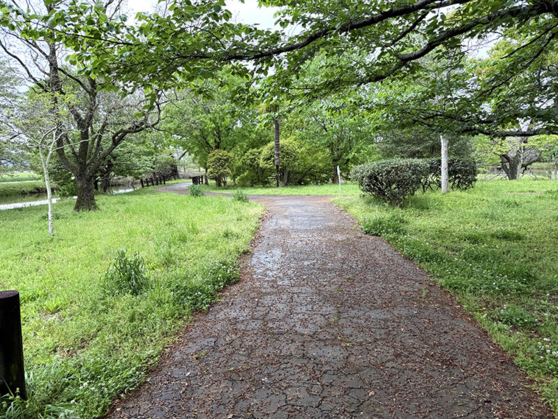 横武クリーク公園