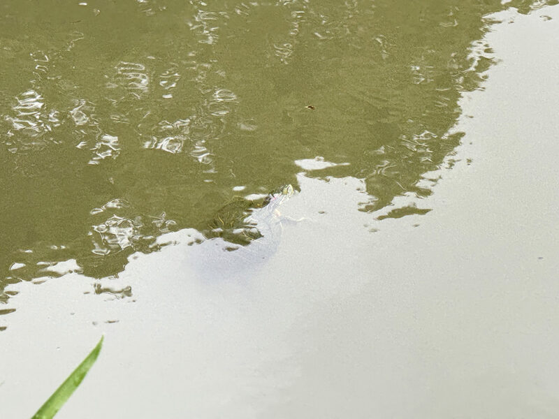 横武クリーク公園