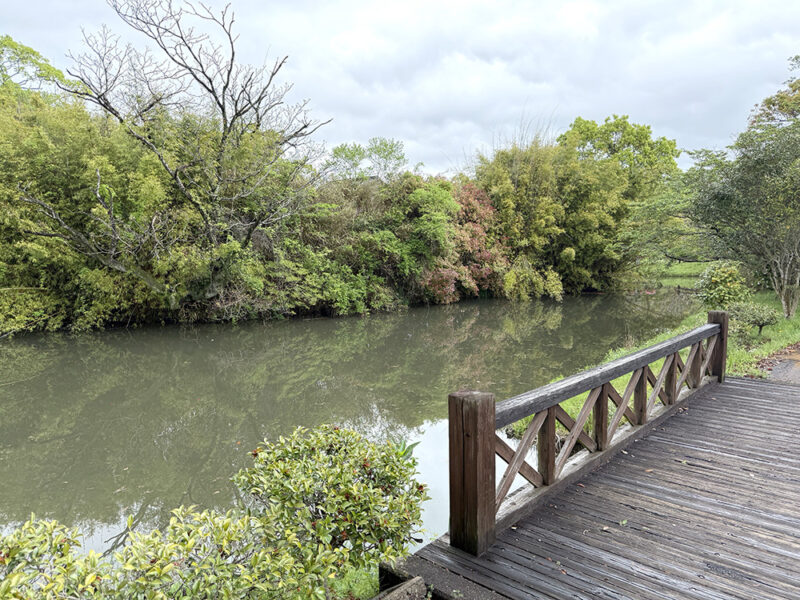 横武クリーク公園釣りスポット