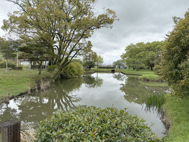 横武クリーク公園釣りスポット