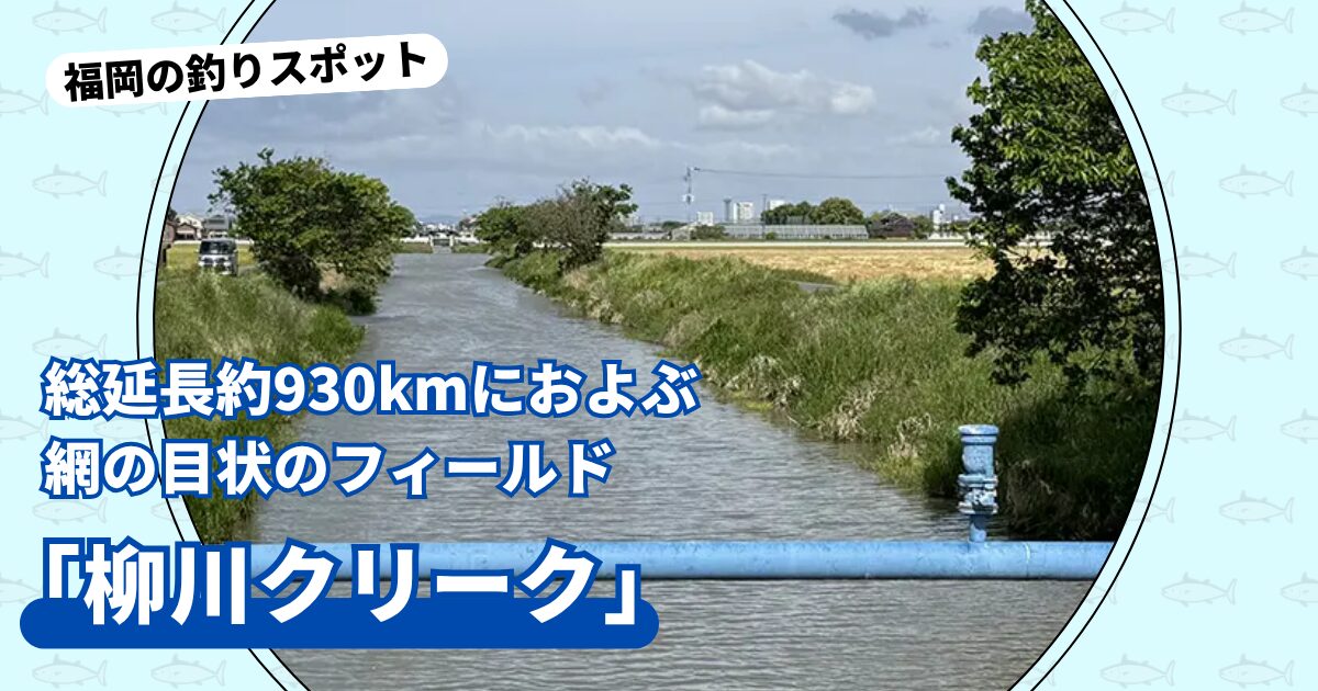 釣りスポット：柳川クリーク