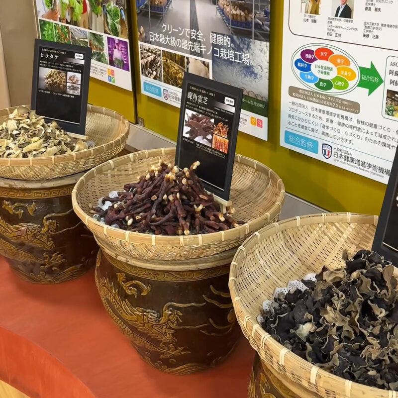 元気の森 阿蘇ファームランド きのこ亭