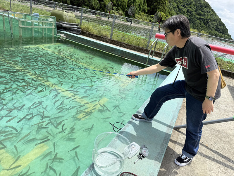 ニジマス釣りにチャレンジ