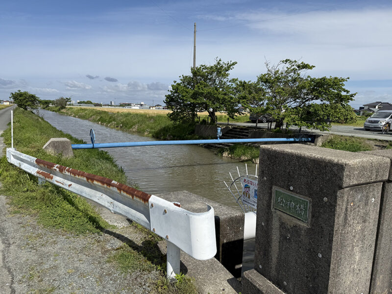 柳川クリーク付近