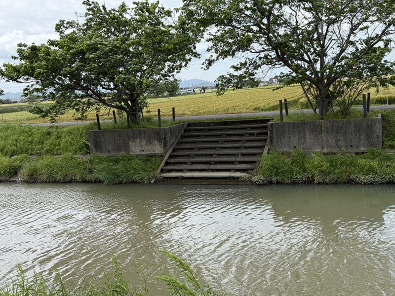 柳川クリーク