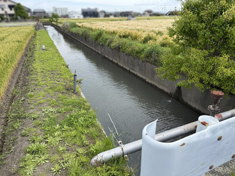 柳川クリーク