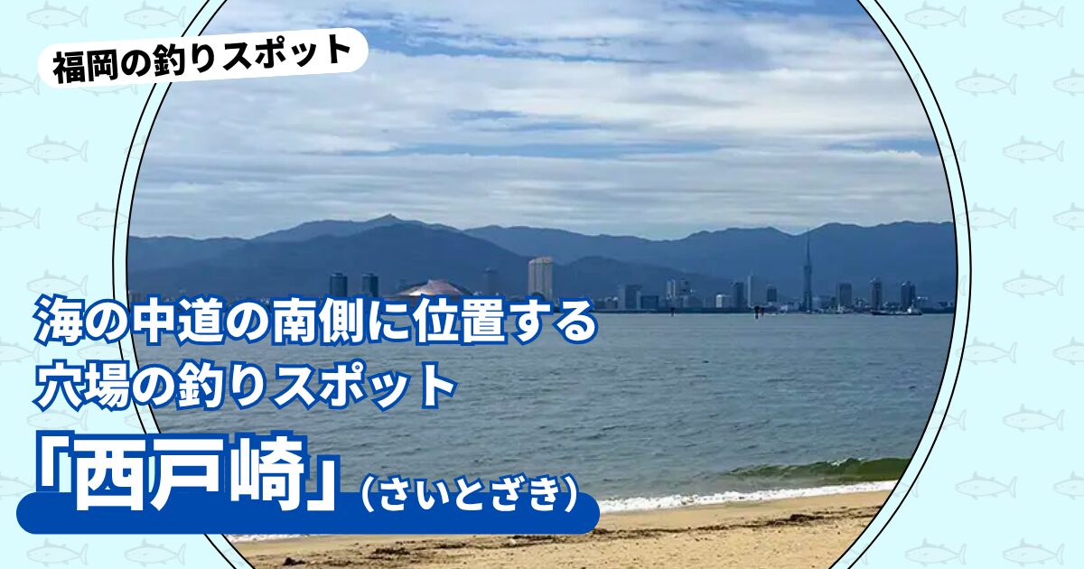 釣りスポット：西戸崎