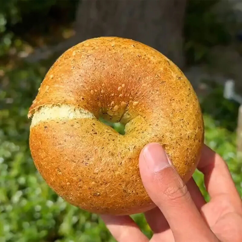 RABBIT BAGELS