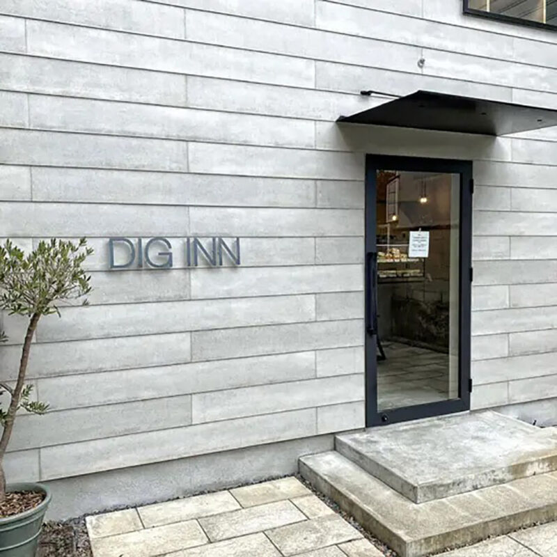 DIG INN