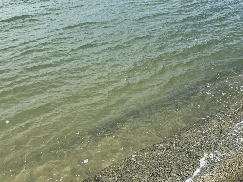 JR西戸崎駅南側の砂浜