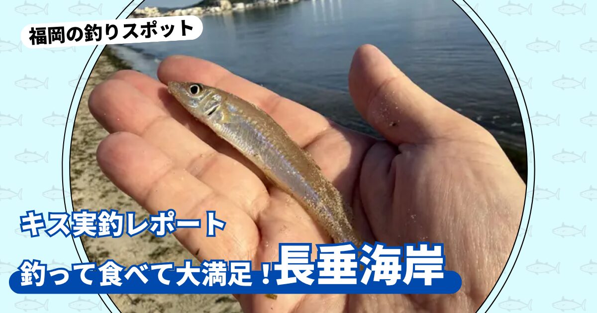 釣りスポット：「長垂海岸」実釣レポート