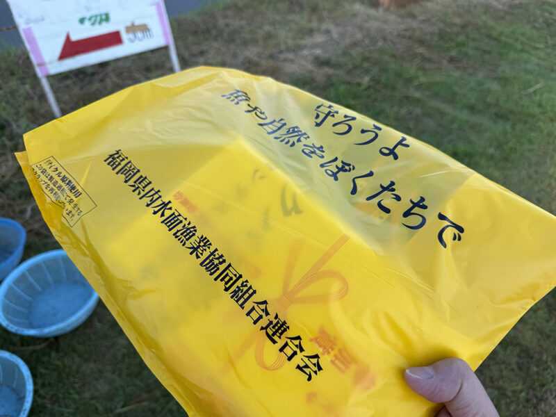 参加賞