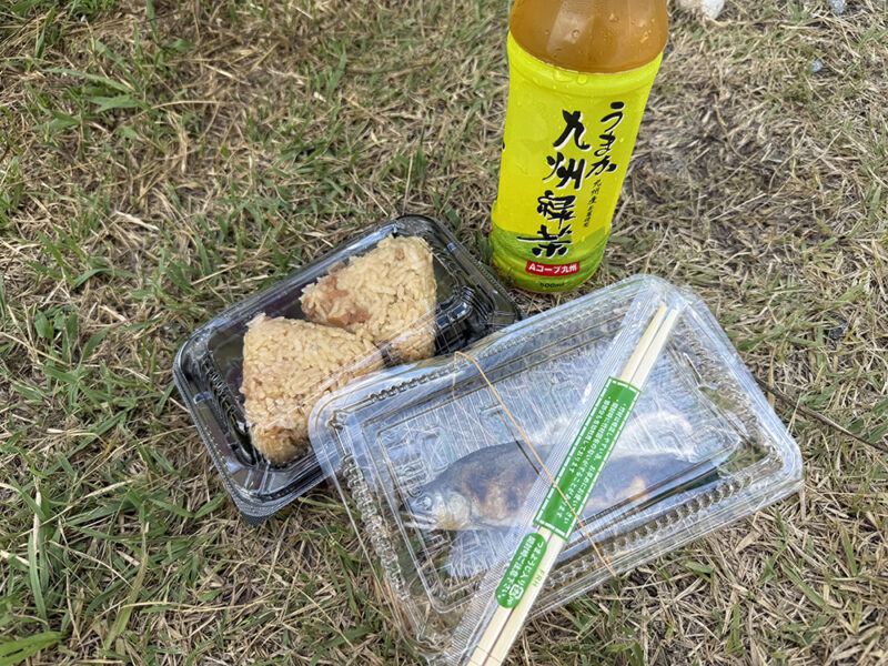 冷たいお茶とかしわおにぎり、鮎の塩焼き