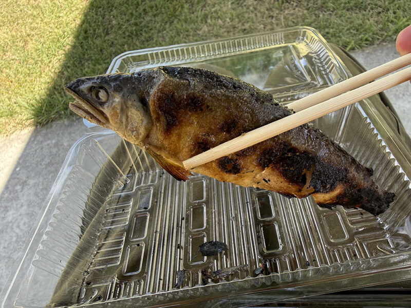冷たいお茶とかしわおにぎり、鮎の塩焼き