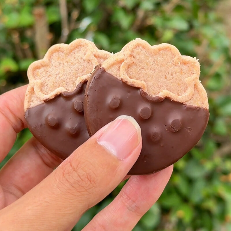 伊都きんぐのクッキー工場のクッキー