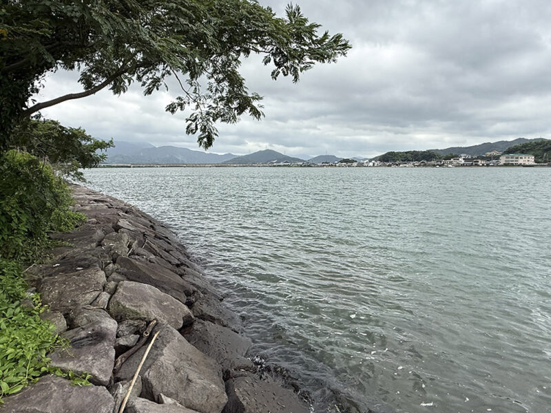 中流域エリア