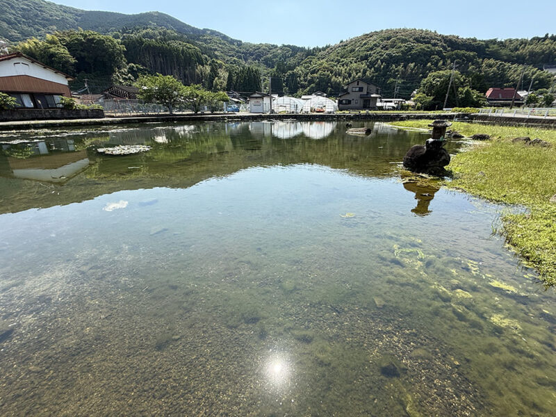 縫ノ池（ぬいのいけ）