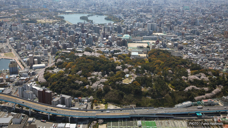 西公園に360度のパノラマを楽しめる、高さ14メートルの展望施設