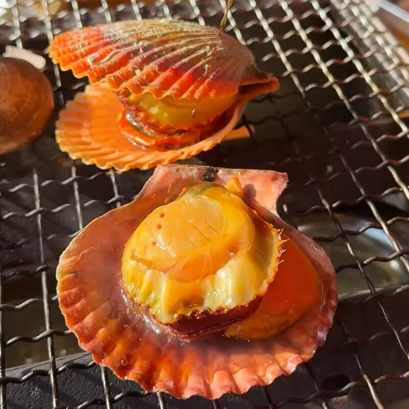 浜焼き白浜家 食べ放題