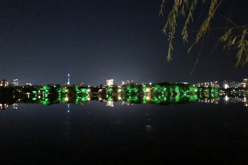 福岡暮らしで実感！大濠公園が「ちょうどいい」理由