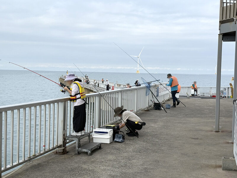 脇田海釣り桟橋の釣り場