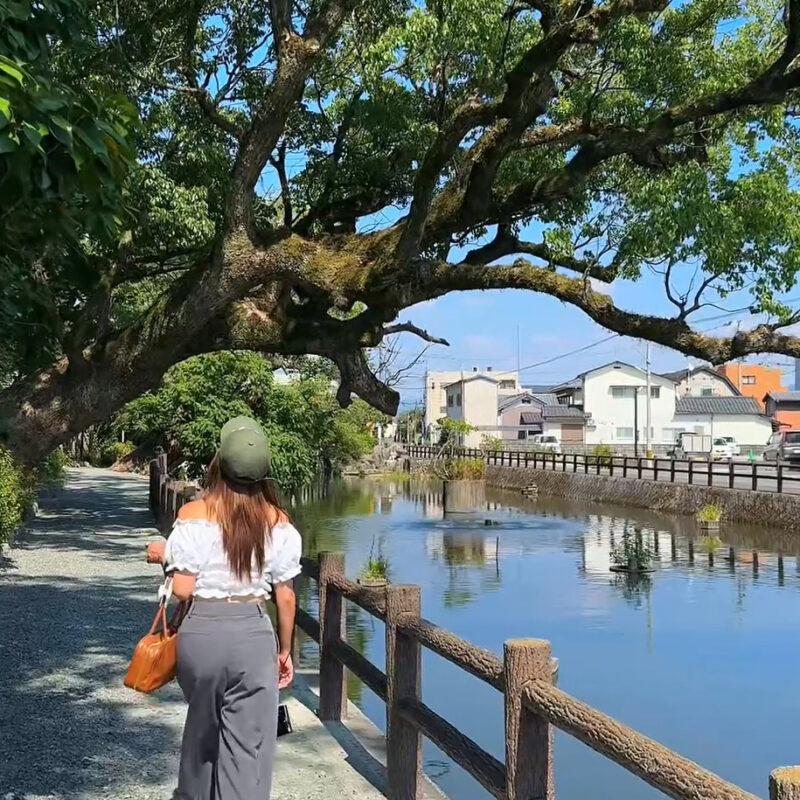 福岡都心から日帰りで行く！八女を満喫する旅スポット