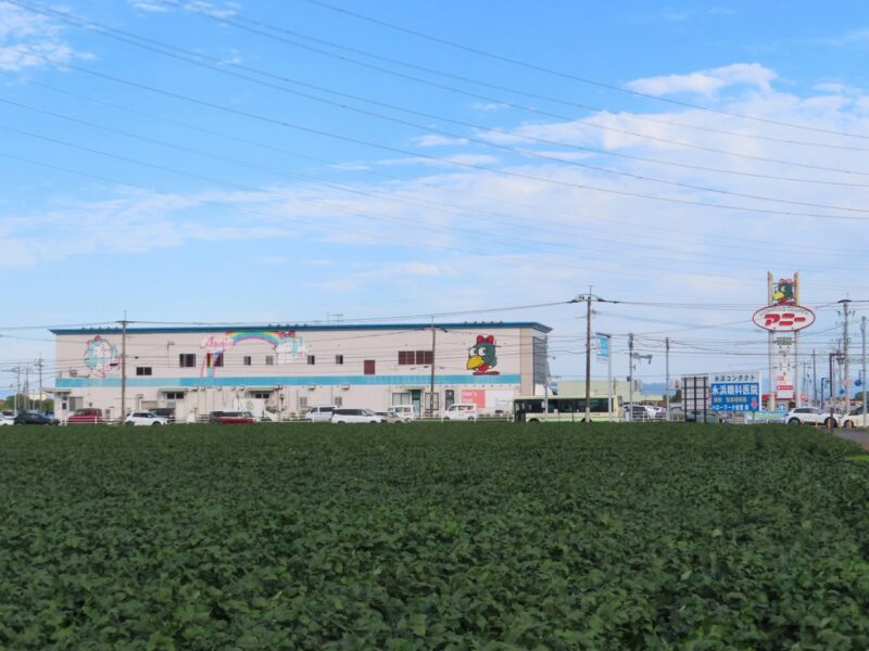 前後の違いを探そう「姉」バス停【佐賀県神埼市】