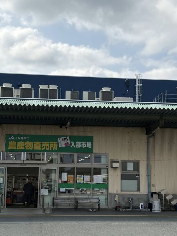 博多じょうもんさん