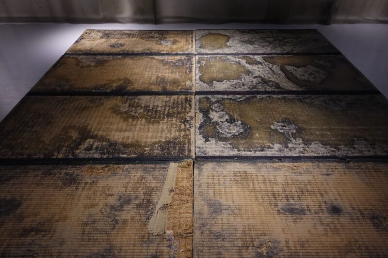 恐怖心展_展示10