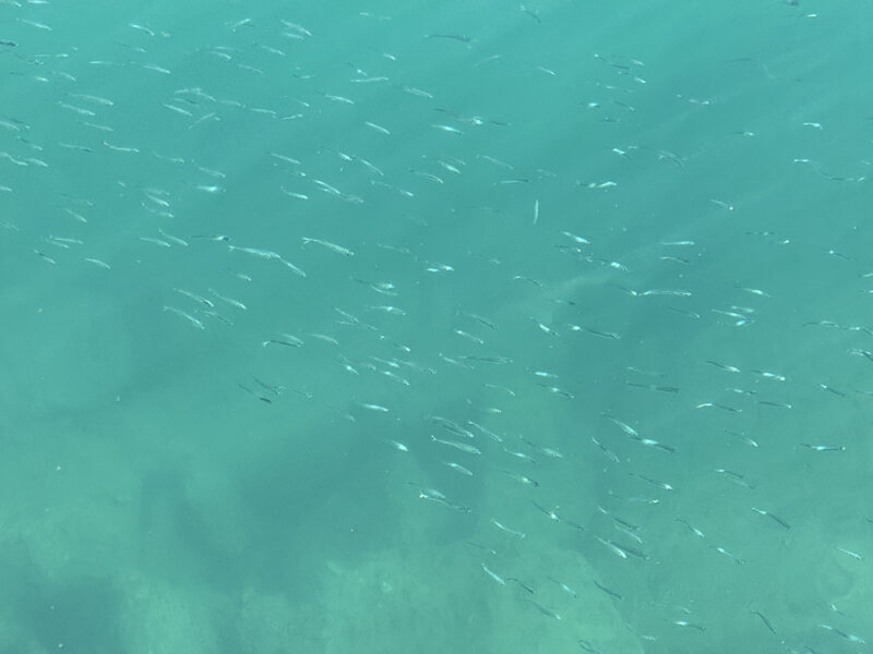 福の浦漁港は見事な秋晴れ